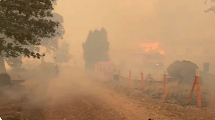 Alerta en Zona Sur: Llaman a evacuar sectores de Biobío y La Araucanía por incendios forestales