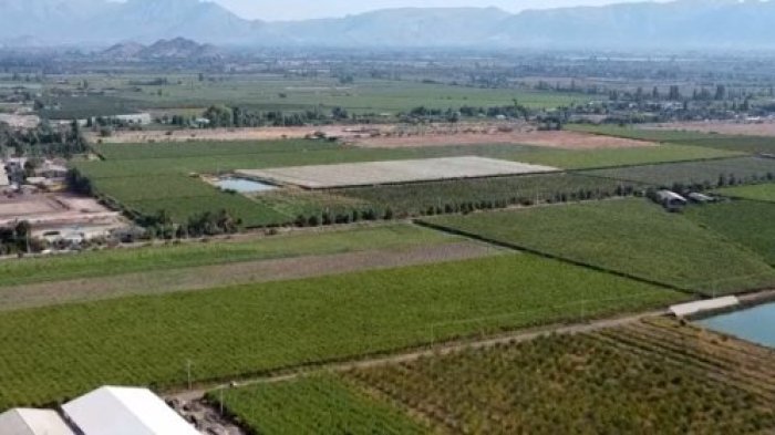 Delincuencia rural: La grave crisis de seguridad que preocupa al campo chileno