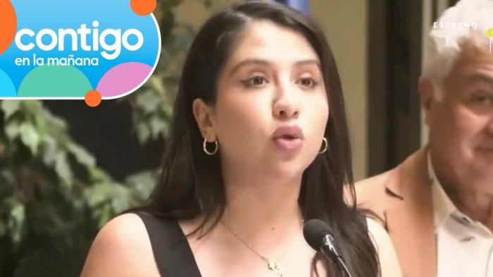 Diputada Consuelo Veloso sufrió robo y fue detenida por conducir en estado de ebriedad