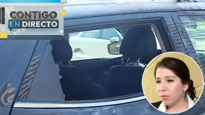 Polémica de la diputada Veloso: Sufrió un robo, persiguió a los ladrones y chocó en estado de ebriedad