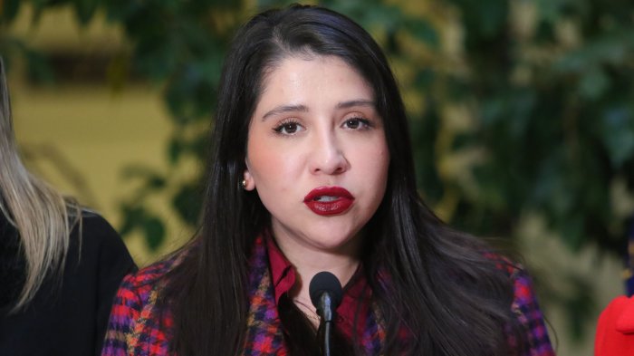 Diputada Consuelo Veloso fue apercibida por conducción en estado de ebriedad: Chocó tras sufrir robo