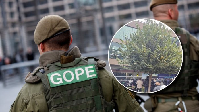 Caos en Osorno: Evacúan centro comercial por aviso de bomba