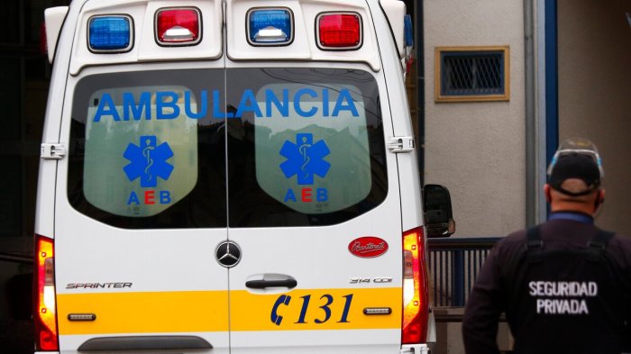 Mujer murió tras caída de árbol en medio de fuertes vientos en Puerto Montt