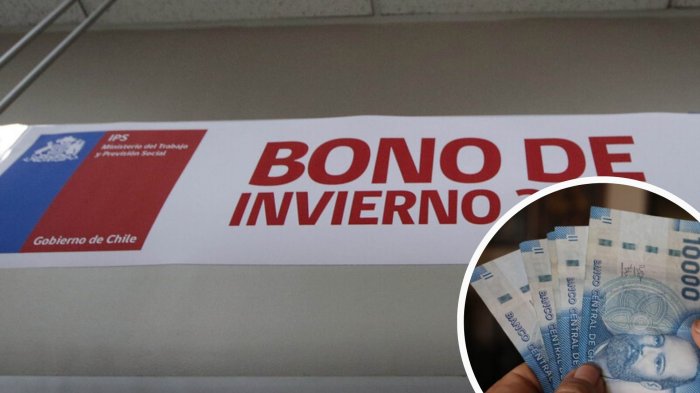 Bono Invierno 2025: Revisa con tu RUT si eres beneficiario y si cumples los requisitos
