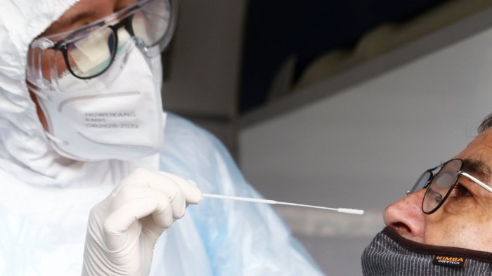 ¿Habría sido intencional?: esta es la teoría del origen del COVID-19 que toma fuerza en Francia