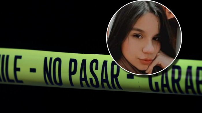 “Te los devolveré en un ataúd”: Destapan nuevos antecedentes de asesinato de mujer a su nuera en Osorno