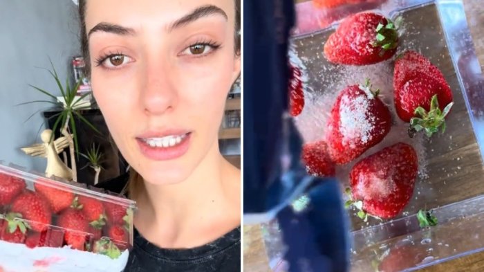 VIDEO | Tutu Vidaurre compartió experimento con frutillas y se hizo viral: “Lo peor que he visto”