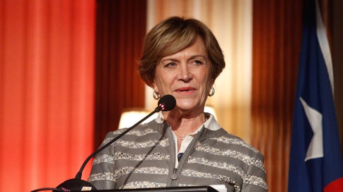 Evelyn Matthei tilda de “idiotas” a quienes la consideran de izquierda