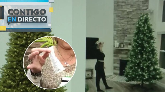 Denuncian a sitio web de presunta estafa: Mujer compró gran árbol de Navidad y recibió uno diminuto