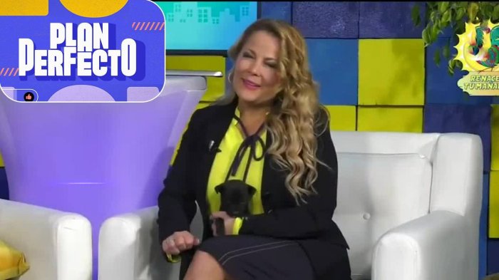 Los millonarios costos y deudas que habría dejado el polémico matinal que hizo Cathy Barriga en Maipú