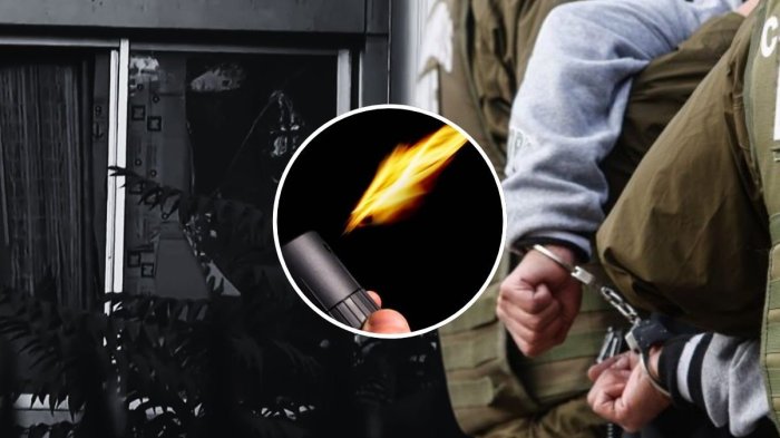 “Le mueves algo y se trastorna”: Nuevos antecedentes de sujeto que atacó a su familia con lanzallamas