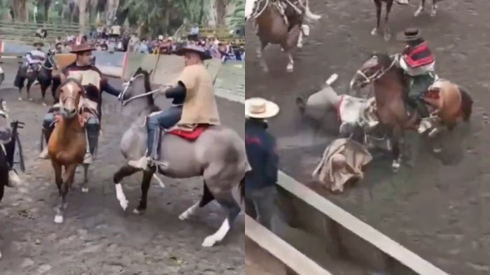 Viralizan brutal pelea entre jinetes en San Vicente de Tagua Tagua: Enfrentamiento comenzó por insólito motivo