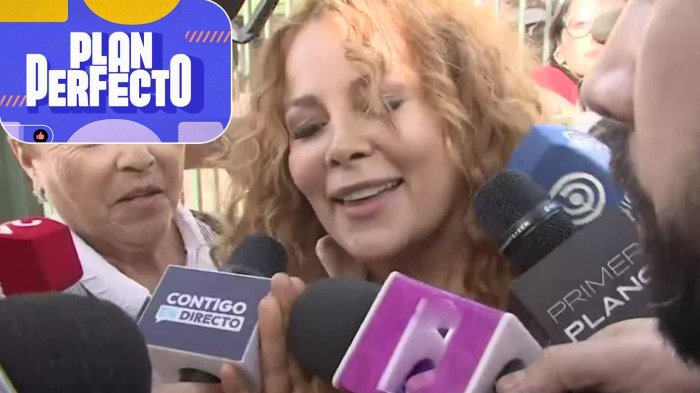 De la cárcel a arresto domiciliario nocturno para Cathy Barriga: ¿A qué se debe el drástico cambio de cautelares?