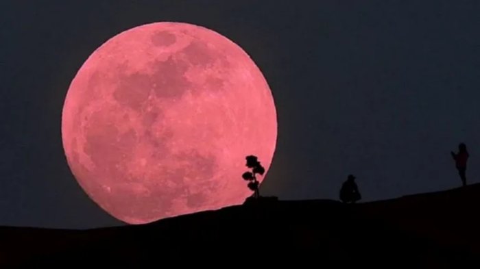 Luna rosa de abril 2025: Cuándo se verá en Chile y qué significa su nombre