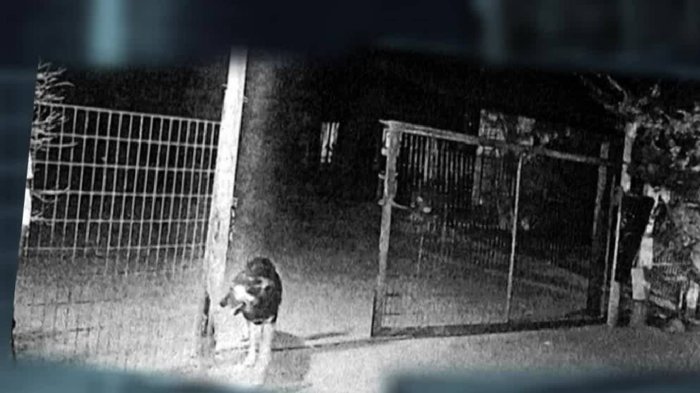 Madre condenada a ocho años por disparar contra el violador de su hija pide indulto