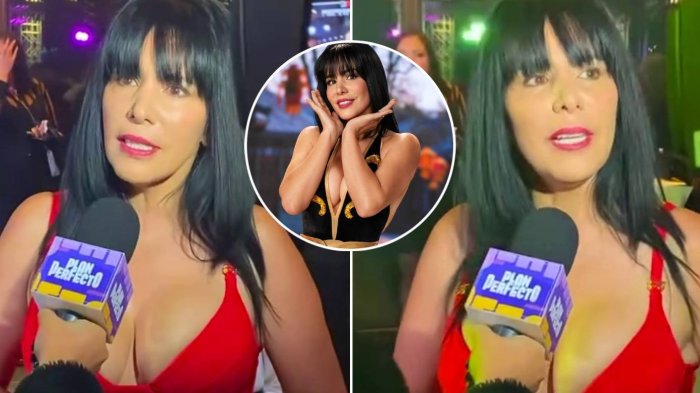 Esto es lo que gana Anita Alvarado en conocida plataforma de contenidos para adultos