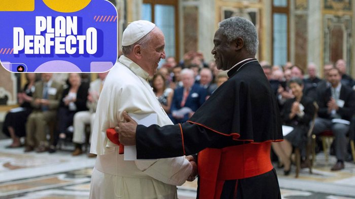 ¿Podría ser el sucesor de Francisco? Teólogo explicó profecía sobre el “Papa negro” en Plan Perfecto