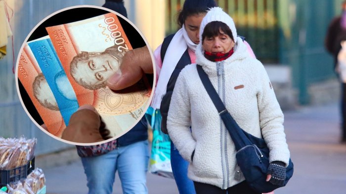 Bono Invierno 2025: Revisa si eres beneficiario y cuando comienza el pago de los $81.257