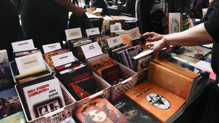 Con ofertas en miles de títulos: Lanzan iniciativa para fomentar la lectura de los chilenos