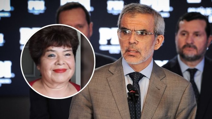 Gobierno confirmó “alerta internacional” por peligro de fuga del presunto asesino de Ana María Pizarro