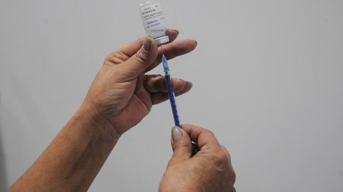 Expertos llaman a apurar vacunación contra influenza: Peak sería en mayo