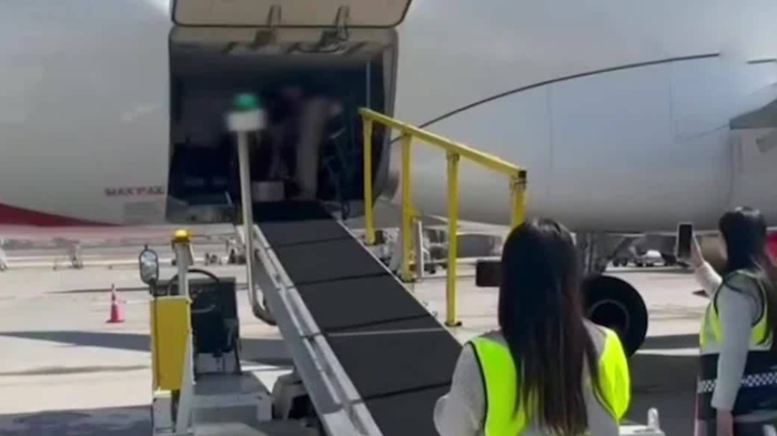 Nuevo método de tráfico de drogas: Aeropuertos en alerta por narco encomiendas