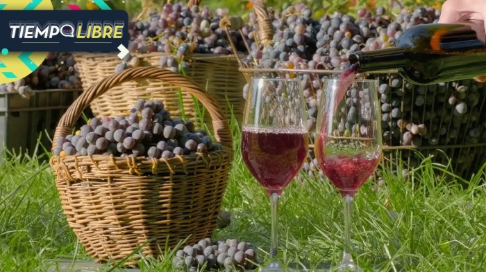 Los Vásquez, Kramer y más: Conoce las actividades gratuitas que trae la Vendimia del Valle del Maipo 2025