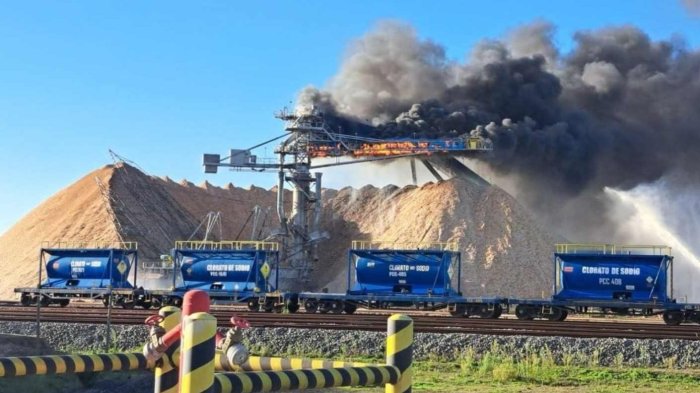 Gigantesco incendio afectó a estructura ubicada en la planta Celulosa Arauco en el Biobío