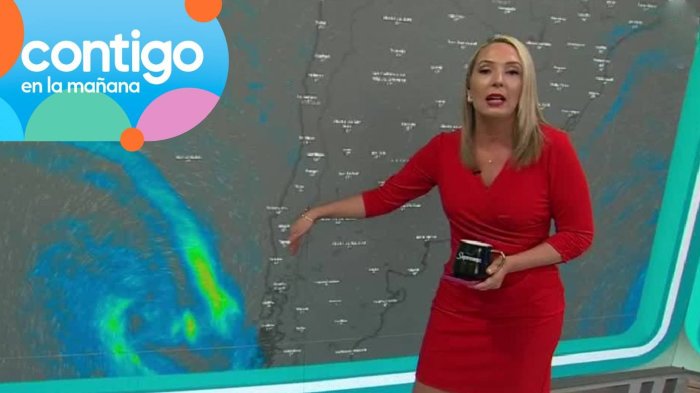 Temporal y vientos de 100 km/h: Allison Göhler reveló alerta climática para zona sur en Contigo en la Mañana