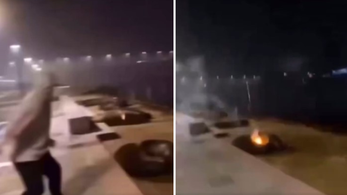 Graban a sujeto lanzando fuegos artificiales a lobos marinos en Valdivia: Fiscalía abrió investigación