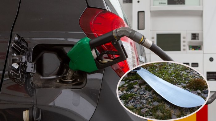 “El viejo se fue corriendo y saca un machete”: Cliente acusó cobro erróneo y atacó a trabajador en bencinera de Valdivia