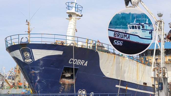 Caso Bruma: Reportan hallazgo de restos biológicos en barco Cobra
