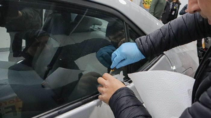 Grabado de patentes: Estos son los vehículos que quedan exentos de la ley