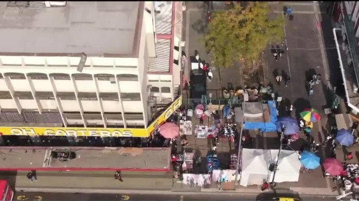 Tras 5 meses a cargo del municipio: Desbordes continúa batalla contra el comercio ilegal en Santiago