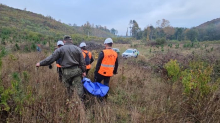 Tras intensa búsqueda encuentran muerto a adulto mayor desaparecido en Curacautín