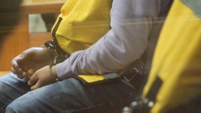 Cuatro nuevos involucrados en red de pedofilia del teólogo de Chillán quedaron en prisión preventiva