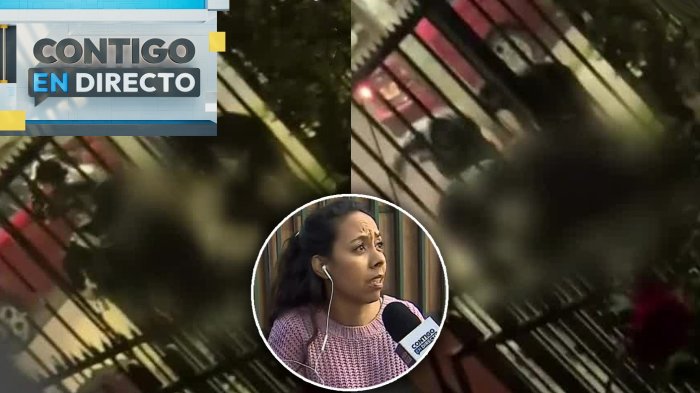 “Pensé que nos iban a matar”: Madre e hija entregaron desgarrador testimonio tras sufrir portonazo en Maipú