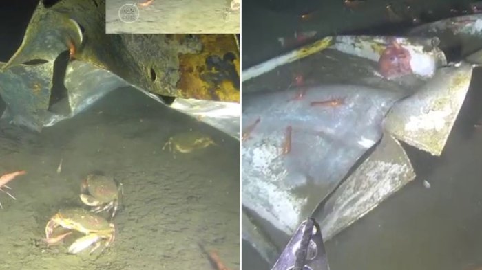 Revelan inéditos registros submarinos que evidencian daños de la lancha Bruma frente a Coronel