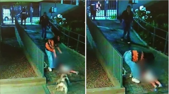 Niña de 2 años sufrió grave caída tras ser empujada por perro sin correa en edificio en Lo Barnechea
