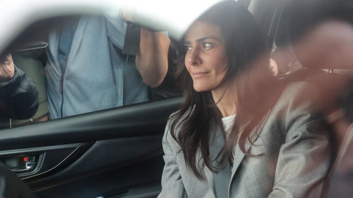 Revelan nuevo giro para Tonka Tomicic: Habría saldado millonaria deuda tras el Caso Relojes