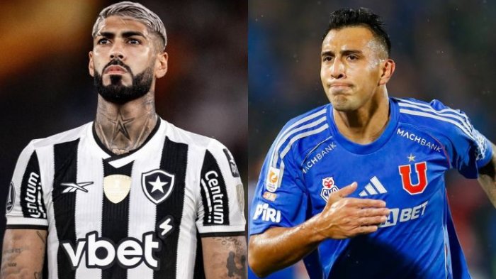 Botafogo vs Universidad de Chile: Cuándo y a qué hora es el partido por Copa Libertadores