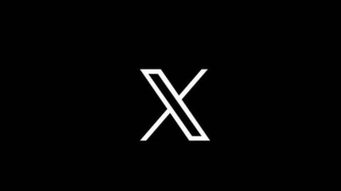 ¿Te diste cuenta? Reportan la caída de X a nivel mundial