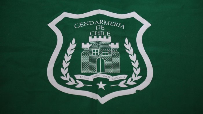 Intentó huir saltando: Descubren a gendarme ingresando 24 celulares y drogas a Colina 1