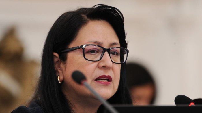 Contralora aseguró que funcionarios completaron estudios en el extranjero estando con licencia médica