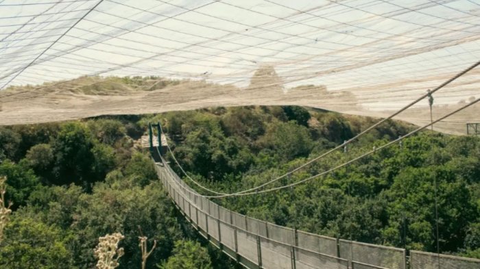 A 90 minutos de Santiago: Este parque tiene el aviario más grande de Sudamérica