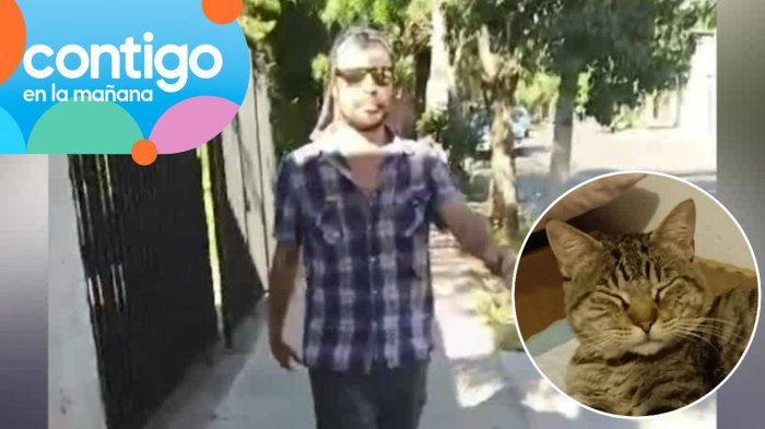 Mujer denuncia grave acoso de vecino: Lo acusa de envenenar a su gato y de amenazarla con “degollarla”