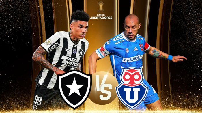 Botafogo vs Universidad de Chile: Dónde ver EN VIVO y ONLINE partido por Copa Libertadores