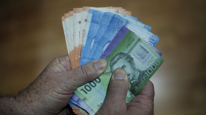 IPS entrega $452.000 a mujeres en Chile: Consulta con tu RUT si recibes el Bono Dueña de Casa