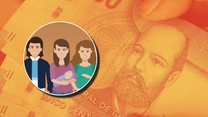 Subsidio Familiar podría tener alza: Este sería el nuevo monto de la ayuda que entrega el IPS