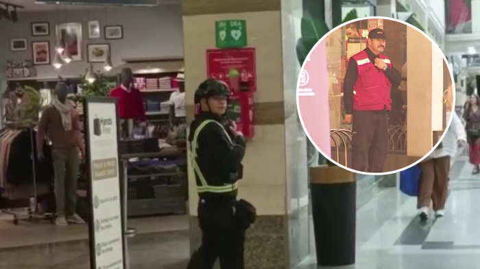 Porte de armamento y normas para eventos masivos: Así funcionará la nueva ley de seguridad privada